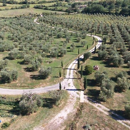Casetta Dell'Uliveto Macchiascandona Exterior foto