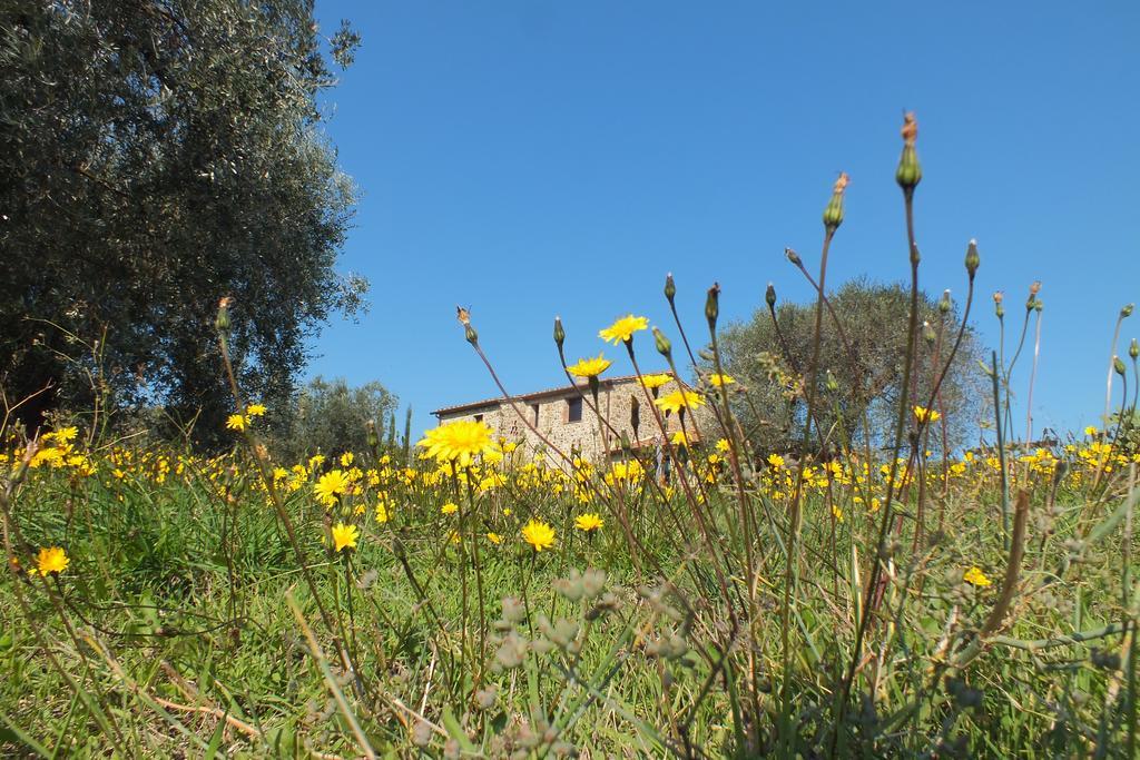 Casetta Dell'Uliveto Macchiascandona Exterior foto